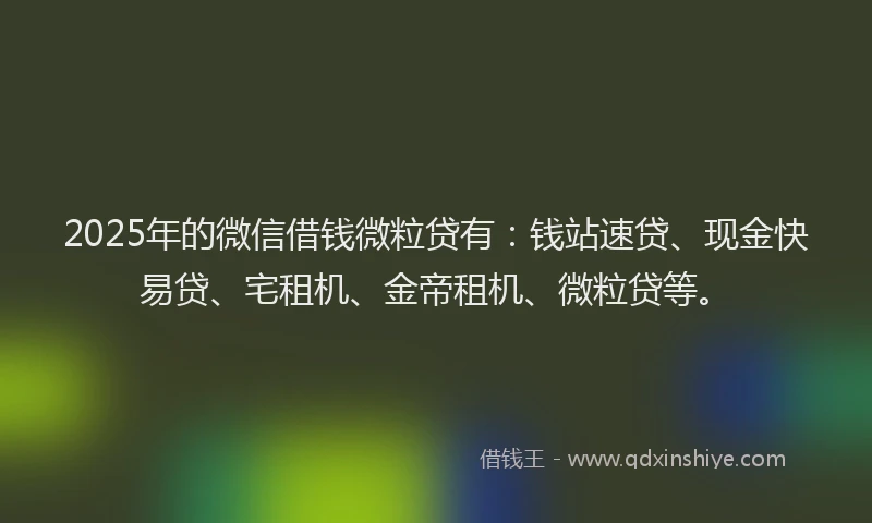 2025年的微信借钱微粒贷有：钱站速贷、现金快易贷、宅租机、金帝租机、微粒贷等。