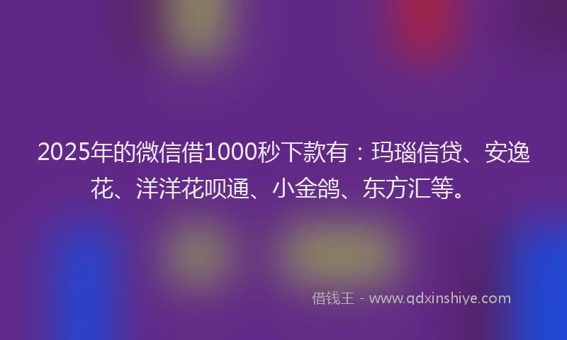 2025年的微信借1000秒下款有：玛瑙信贷、安逸花、洋洋花呗通、小金鸽、东方汇等。