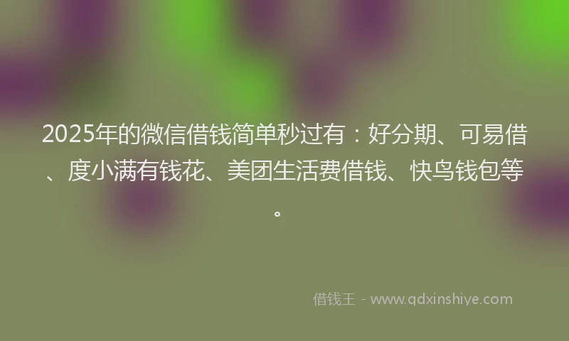 2025年的微信借钱简单秒过有：好分期、可易借、度小满有钱花、美团生活费借钱、快鸟钱包等。