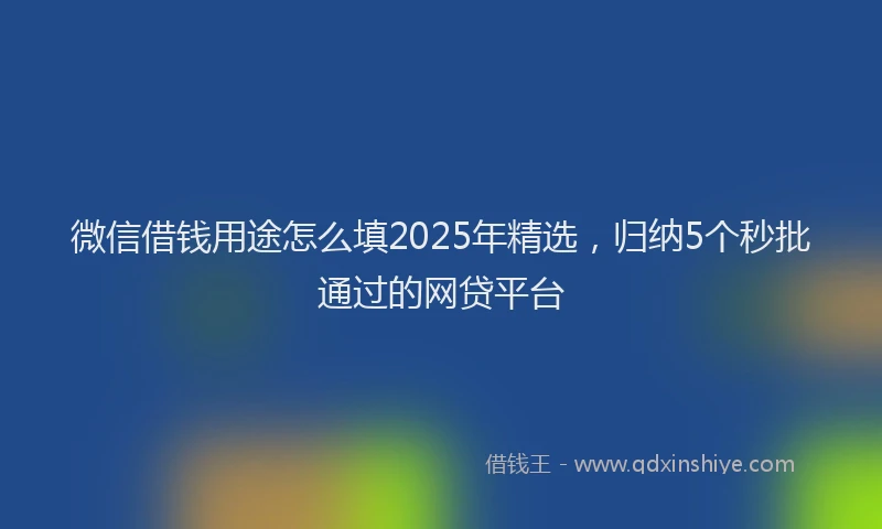 微信借钱用途怎么填2025年精选，归纳5个秒批通过的网贷平台