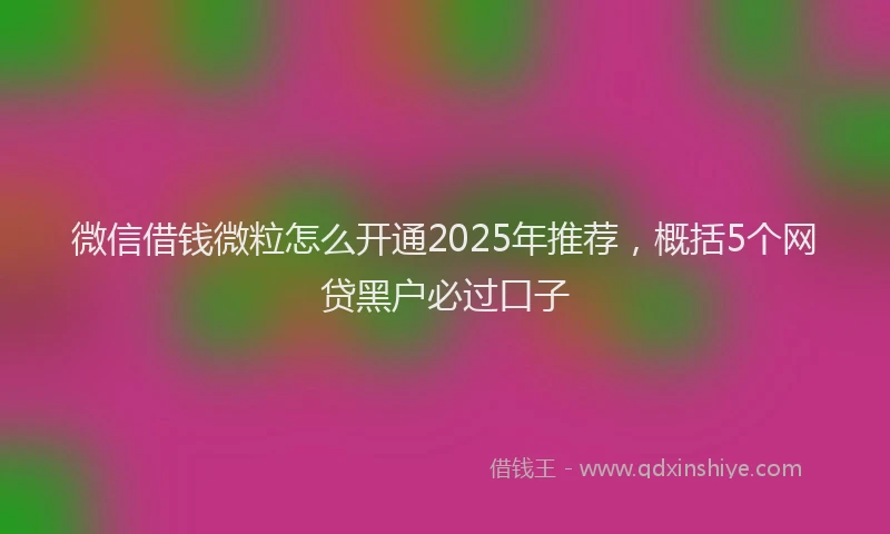 微信借钱微粒怎么开通2025年推荐，概括5个网贷黑户必过口子