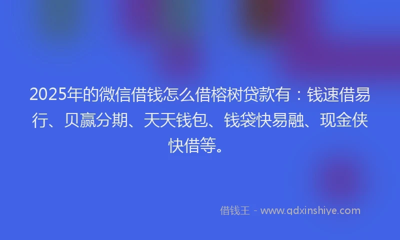 2025年的微信借钱怎么借榕树贷款有：钱速借易行、贝赢分期、天天钱包、钱袋快易融、现金侠快借等。