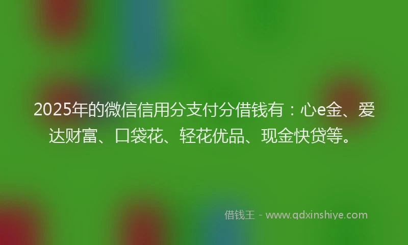 2025年的微信信用分支付分借钱有：心e金、爱达财富、口袋花、轻花优品、现金快贷等。