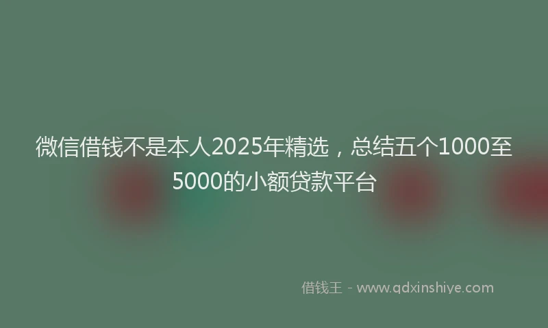 微信借钱不是本人2025年精选，总结五个1000至5000的小额贷款平台