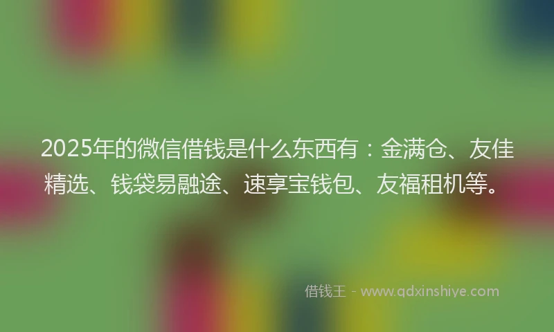 2025年的微信借钱是什么东西有：金满仓、友佳精选、钱袋易融途、速享宝钱包、友福租机等。