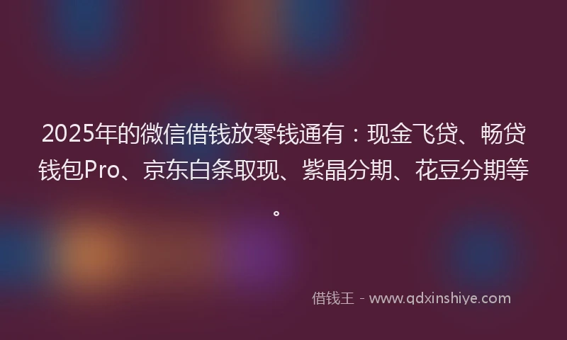 2025年的微信借钱放零钱通有：现金飞贷、畅贷钱包Pro、京东白条取现、紫晶分期、花豆分期等。