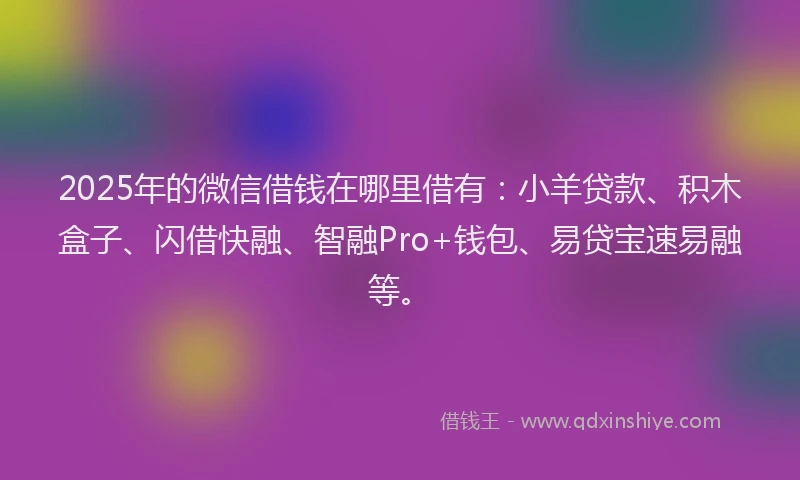 2025年的微信借钱在哪里借有：小羊贷款、积木盒子、闪借快融、智融Pro+钱包、易贷宝速易融等。