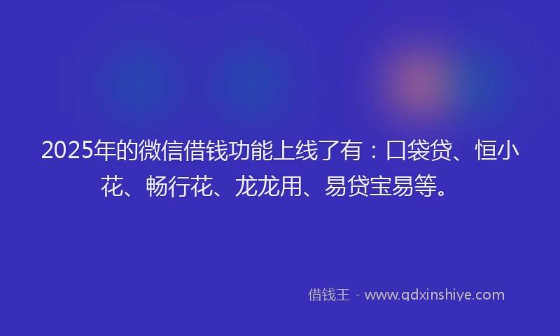 2025年的微信借钱功能上线了有：口袋贷、恒小花、畅行花、龙龙用、易贷宝易等。