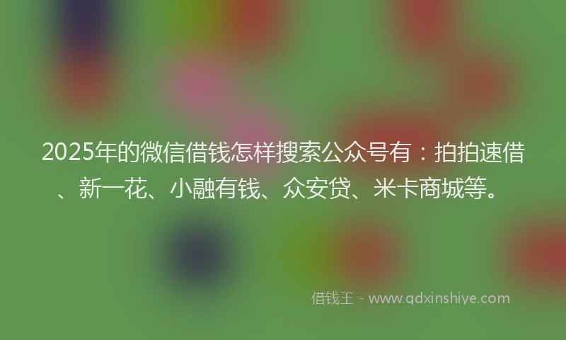 2025年的微信借钱怎样搜索公众号有：拍拍速借、新一花、小融有钱、众安贷、米卡商城等。