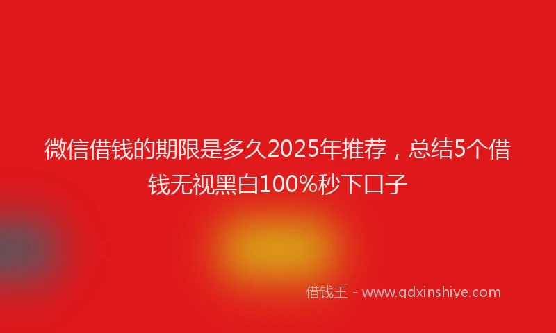 微信借钱的期限是多久2025年推荐，总结5个借钱无视黑白100%秒下口子
