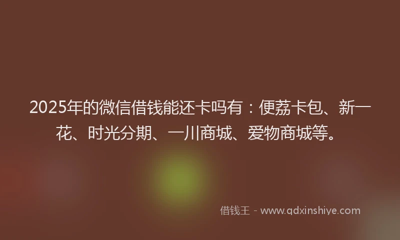 2025年的微信借钱能还卡吗有：便荔卡包、新一花、时光分期、一川商城、爱物商城等。