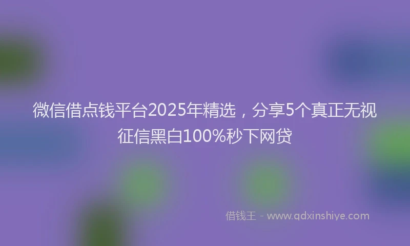 微信借点钱平台2025年精选，分享5个真正无视征信黑白100%秒下网贷