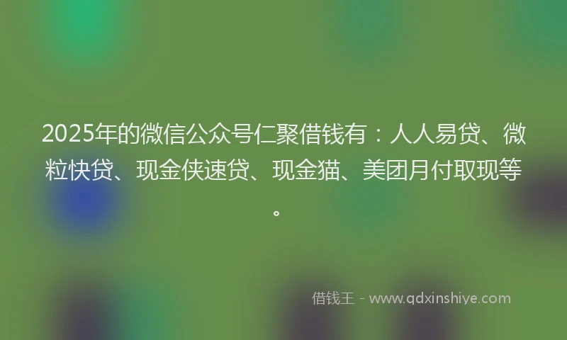 2025年的微信公众号仁聚借钱有：人人易贷、微粒快贷、现金侠速贷、现金猫、美团月付取现等。