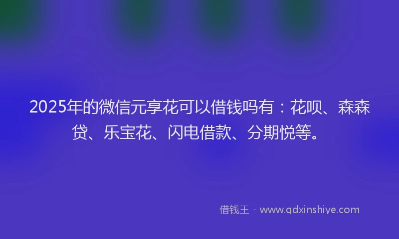 2025年的微信元享花可以借钱吗有：花呗、森森贷、乐宝花、闪电借款、分期悦等。