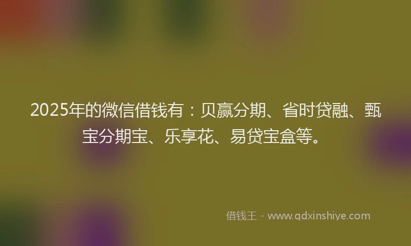 2025年的微信借钱有：贝赢分期、省时贷融、甄宝分期宝、乐享花、易贷宝盒等。