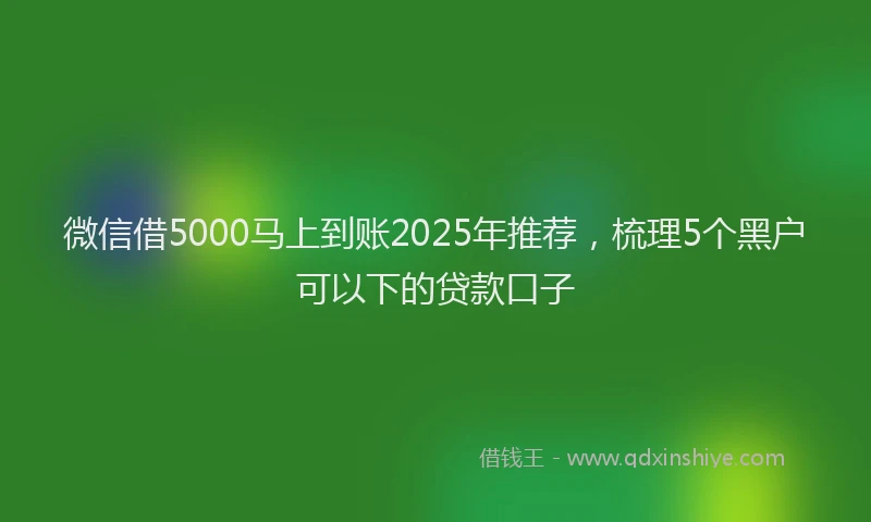 微信借5000马上到账2025年推荐，梳理5个黑户可以下的贷款口子