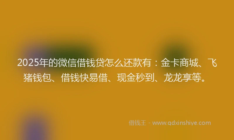 2025年的微信借钱贷怎么还款有：金卡商城、飞猪钱包、借钱快易借、现金秒到、龙龙享等。