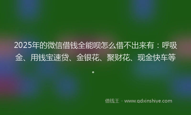2025年的微信借钱全能呗怎么借不出来有：呼吸金、用钱宝速贷、金银花、聚财花、现金快车等。