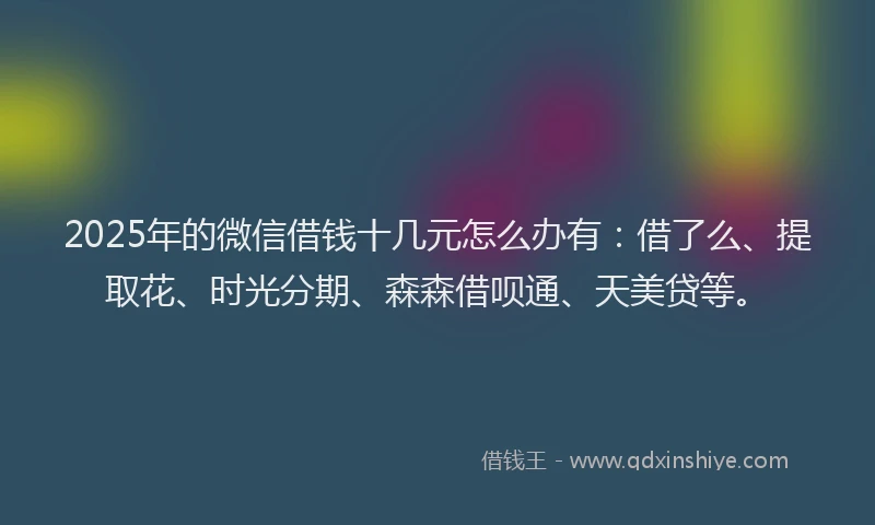 2025年的微信借钱十几元怎么办有：借了么、提取花、时光分期、森森借呗通、天美贷等。