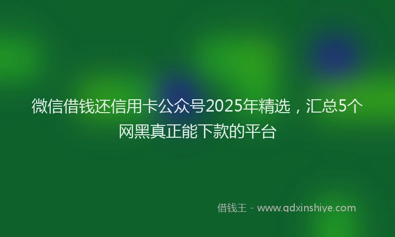 微信借钱还信用卡公众号2025年精选，汇总5个网黑真正能下款的平台