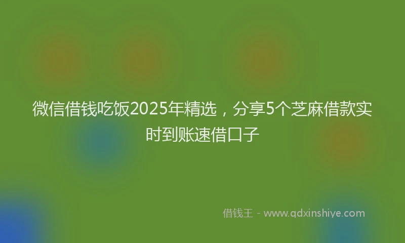 微信借钱吃饭2025年精选，分享5个芝麻借款实时到账速借口子