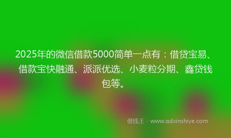 2025年的微信借款5000简单一点有：借贷宝易、借款宝快融通、派派优选、小麦粒分期、鑫贷钱包等。