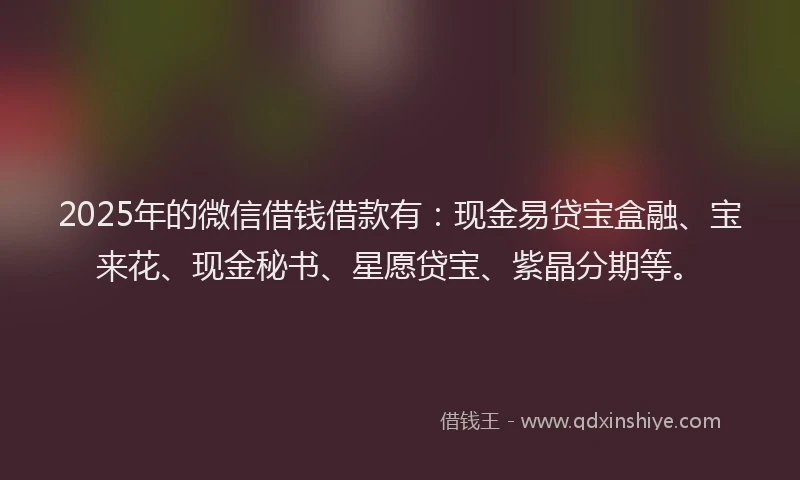 2025年的微信借钱借款有：现金易贷宝盒融、宝来花、现金秘书、星愿贷宝、紫晶分期等。