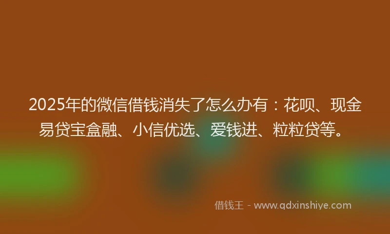2025年的微信借钱消失了怎么办有：花呗、现金易贷宝盒融、小信优选、爱钱进、粒粒贷等。