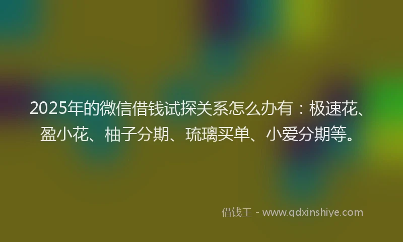 2025年的微信借钱试探关系怎么办有：极速花、盈小花、柚子分期、琉璃买单、小爱分期等。