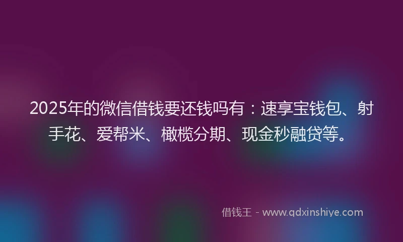 2025年的微信借钱要还钱吗有：速享宝钱包、射手花、爱帮米、橄榄分期、现金秒融贷等。