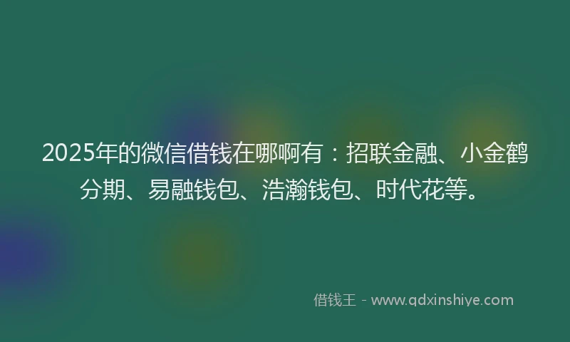 2025年的微信借钱在哪啊有：招联金融、小金鹤分期、易融钱包、浩瀚钱包、时代花等。