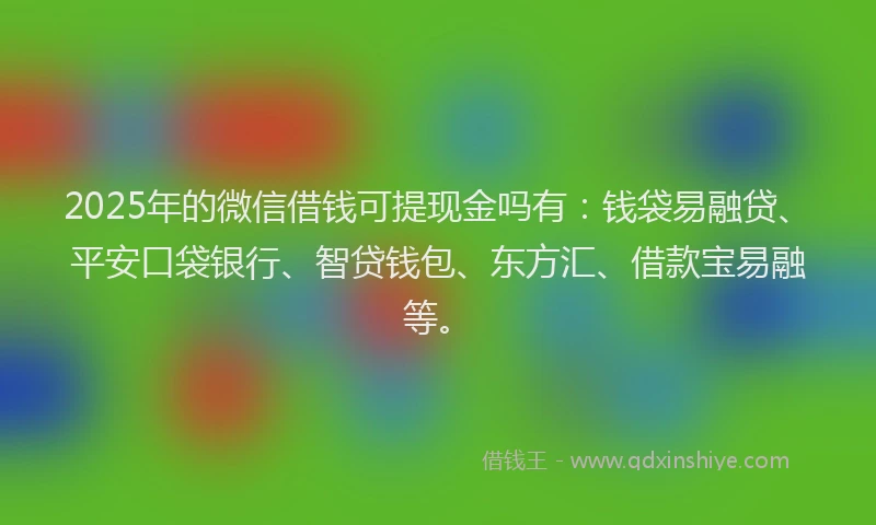 2025年的微信借钱可提现金吗有：钱袋易融贷、平安口袋银行、智贷钱包、东方汇、借款宝易融等。