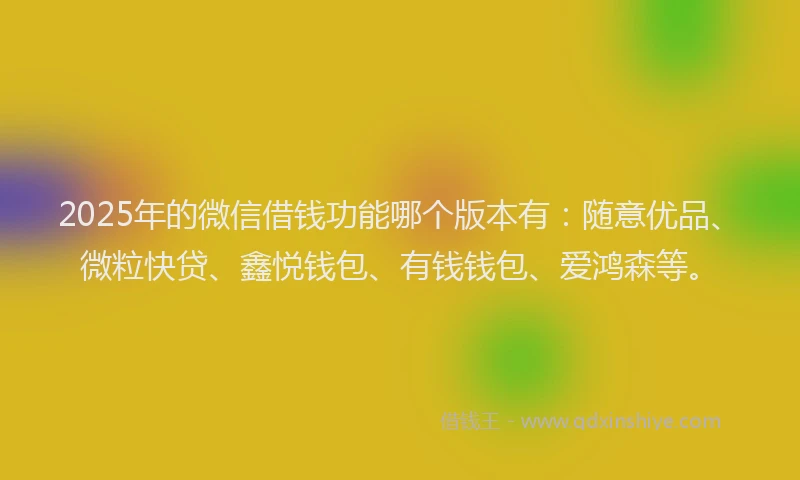 2025年的微信借钱功能哪个版本有：随意优品、微粒快贷、鑫悦钱包、有钱钱包、爱鸿森等。