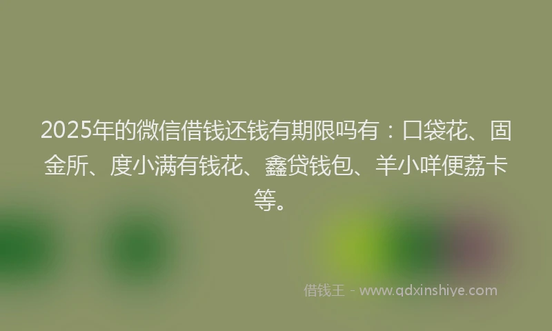 2025年的微信借钱还钱有期限吗有：口袋花、固金所、度小满有钱花、鑫贷钱包、羊小咩便荔卡等。