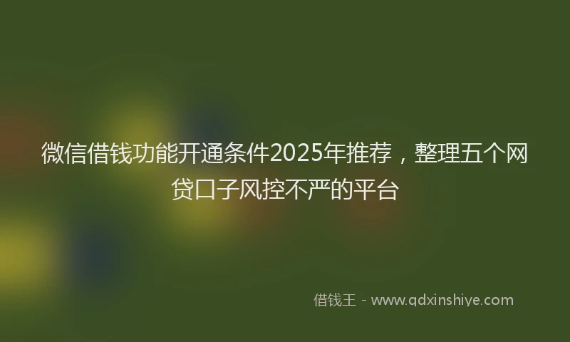 微信借钱功能开通条件2025年推荐，整理五个网贷口子风控不严的平台