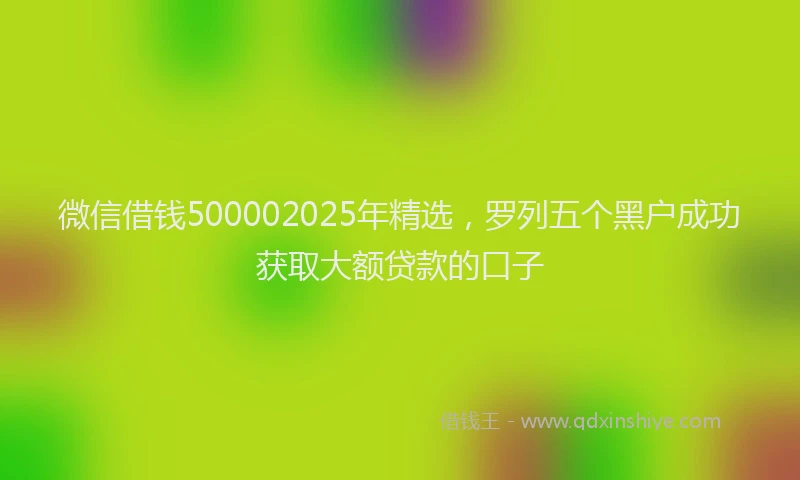 微信借钱500002025年精选，罗列五个黑户成功获取大额贷款的口子