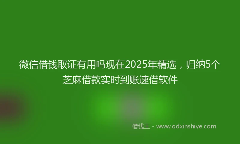 微信借钱取证有用吗现在2025年精选，归纳5个芝麻借款实时到账速借软件