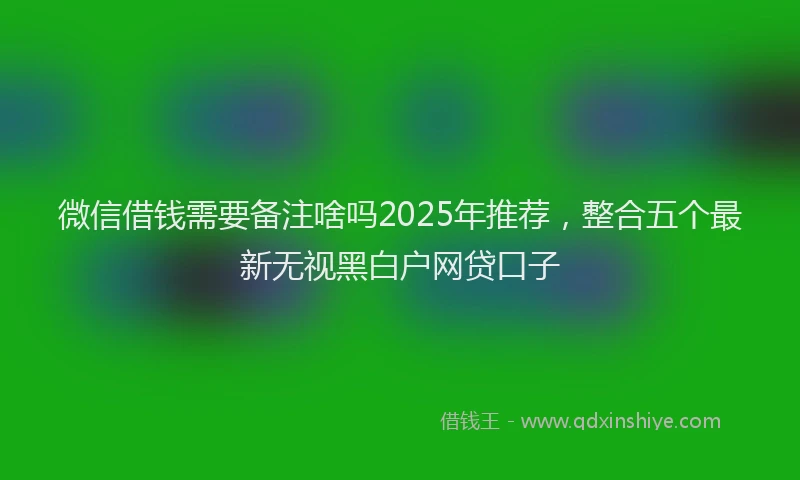 微信借钱需要备注啥吗2025年推荐，整合五个最新无视黑白户网贷口子