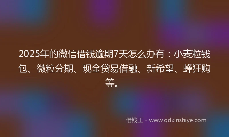 2025年的微信借钱逾期7天怎么办有：小麦粒钱包、微粒分期、现金贷易借融、新希望、蜂狂购等。