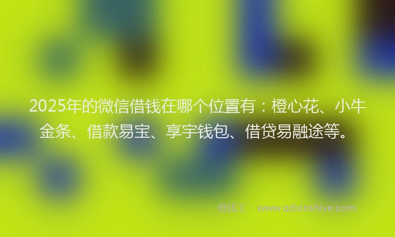 2025年的微信借钱在哪个位置有：橙心花、小牛金条、借款易宝、享宇钱包、借贷易融途等。