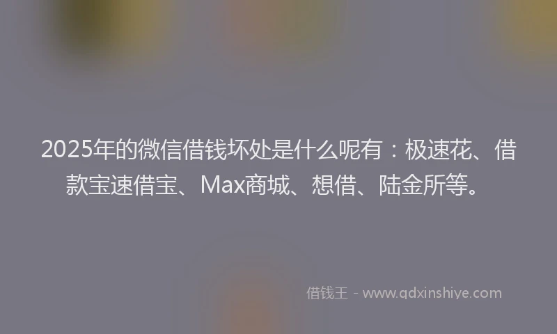 2025年的微信借钱坏处是什么呢有：极速花、借款宝速借宝、Max商城、想借、陆金所等。