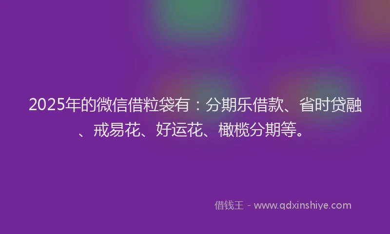 2025年的微信借粒袋有：分期乐借款、省时贷融、戒易花、好运花、橄榄分期等。