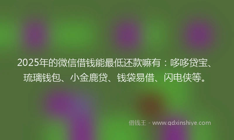 2025年的微信借钱能最低还款嘛有：哆哆贷宝、琉璃钱包、小金鹿贷、钱袋易借、闪电侠等。