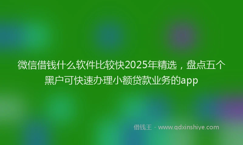 微信借钱什么软件比较快2025年精选，盘点五个黑户可快速办理小额贷款业务的app