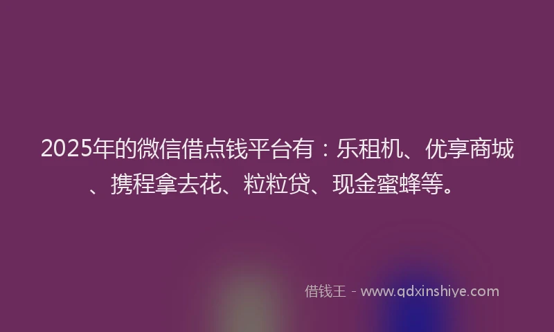 2025年的微信借点钱平台有：乐租机、优享商城、携程拿去花、粒粒贷、现金蜜蜂等。