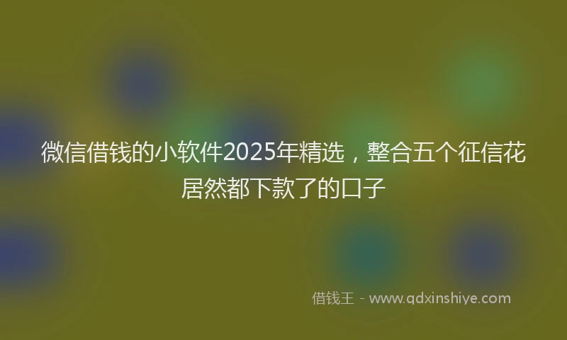 微信借钱的小软件2025年精选，整合五个征信花居然都下款了的口子