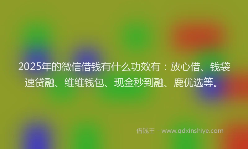 2025年的微信借钱有什么功效有：放心借、钱袋速贷融、维维钱包、现金秒到融、鹿优选等。