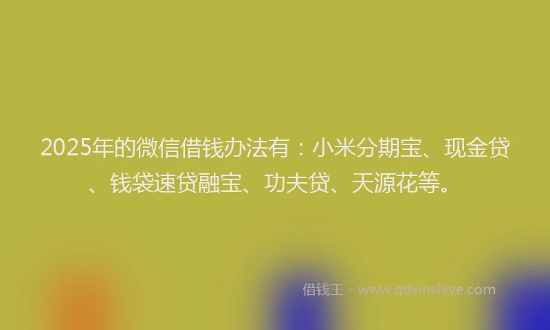 2025年的微信借钱办法有：小米分期宝、现金贷、钱袋速贷融宝、功夫贷、天源花等。