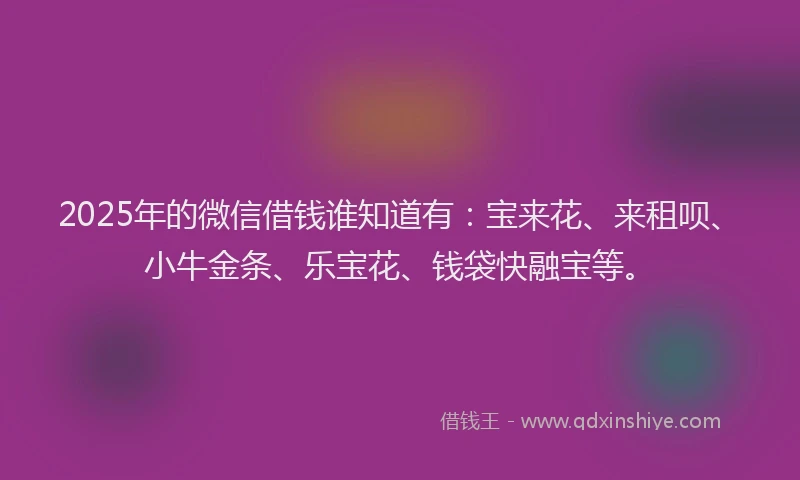 2025年的微信借钱谁知道有：宝来花、来租呗、小牛金条、乐宝花、钱袋快融宝等。