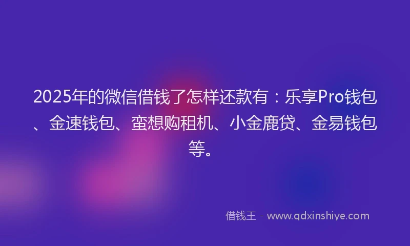 2025年的微信借钱了怎样还款有：乐享Pro钱包、金速钱包、蛮想购租机、小金鹿贷、金易钱包等。